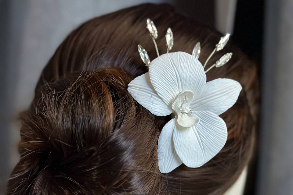 Orquídea 1