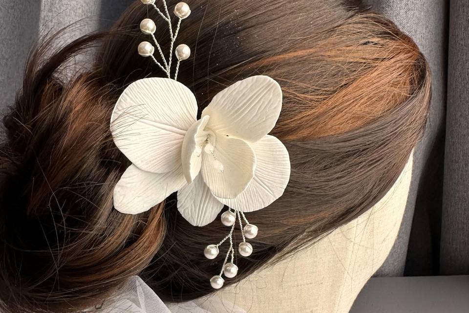 Orquídea 2