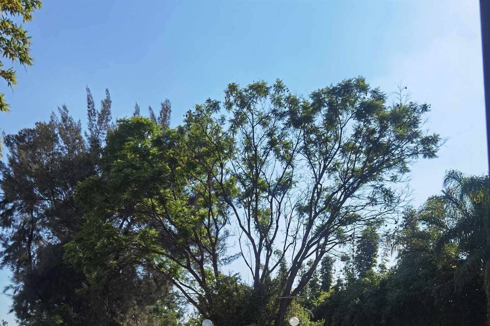 Audio y micrófono en ceremonia