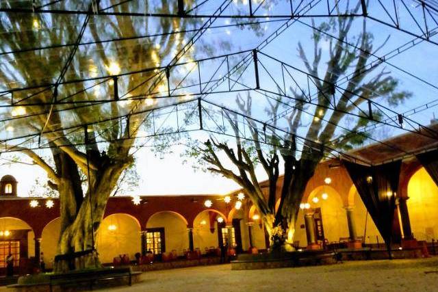 Carpa transparente