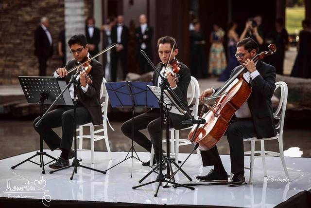 Ideas musicales