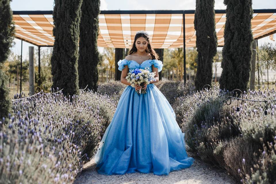 XV Dalia