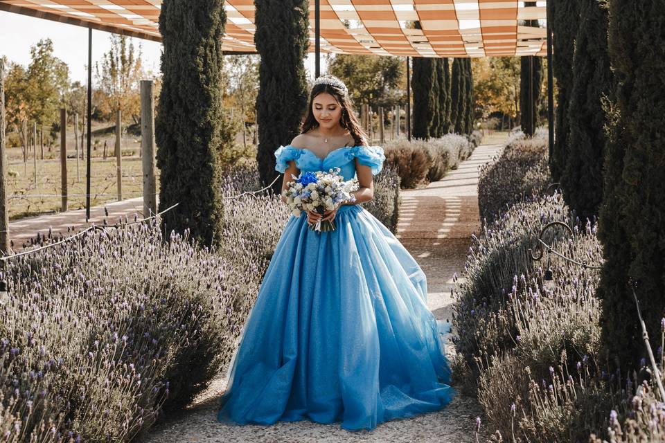 Boda