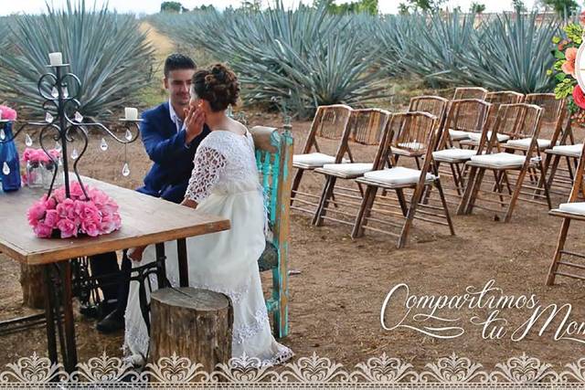 Bodas en el paisaje agavero