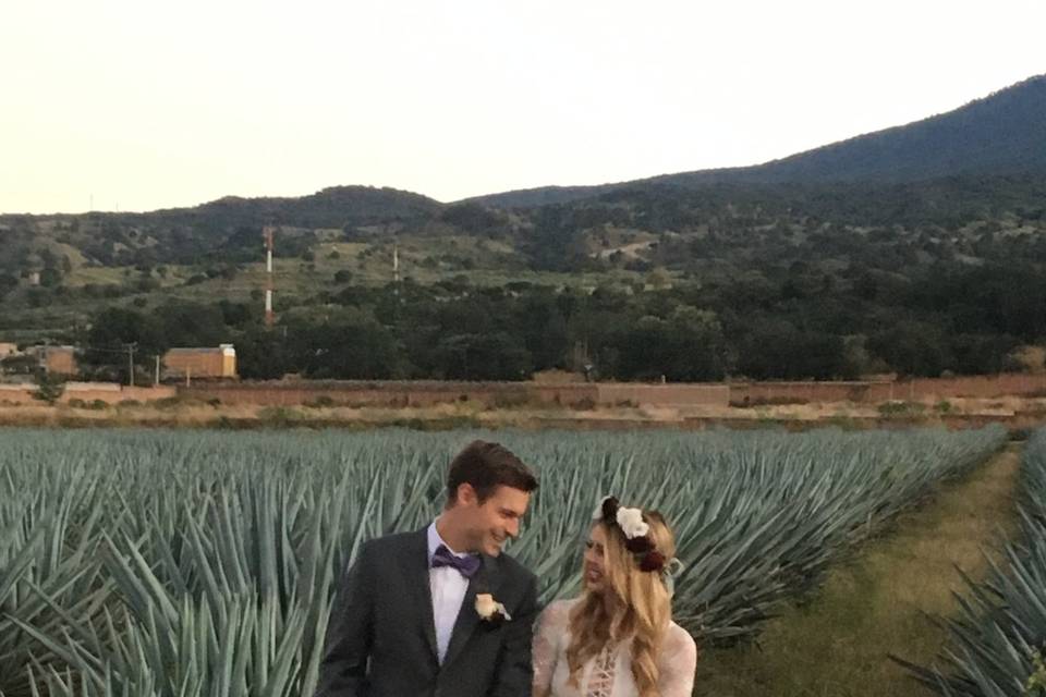 Bodas en el paisaje agavero