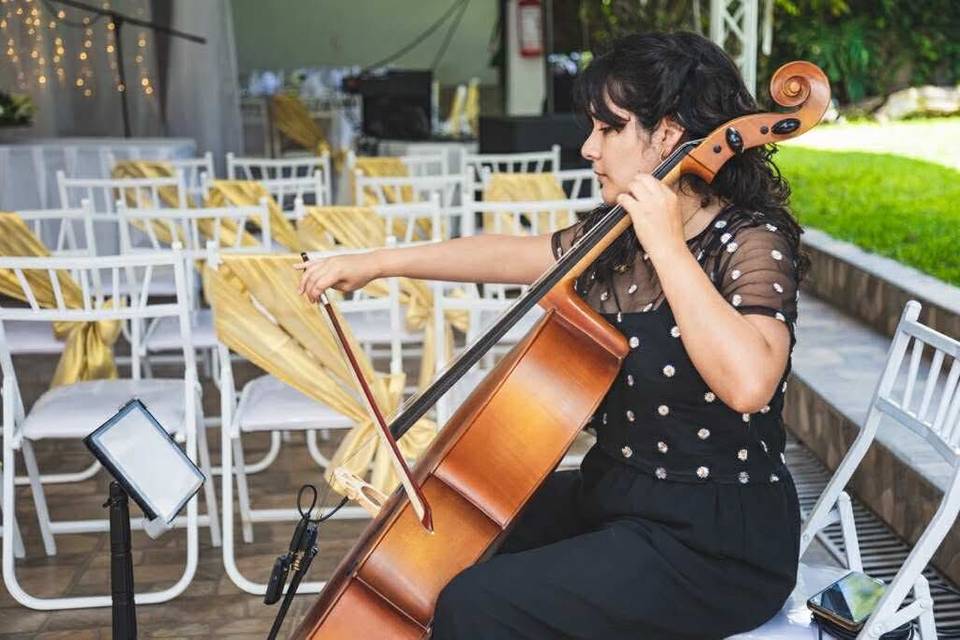Violoncellista en evento