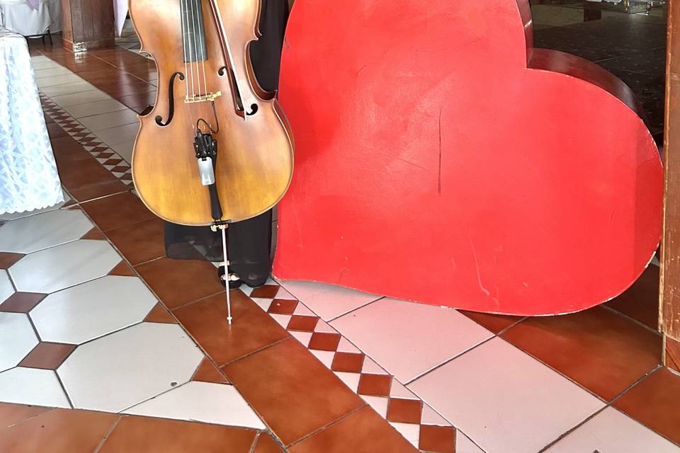 Violoncellista en evento