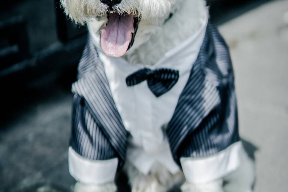 Fotografía de boda