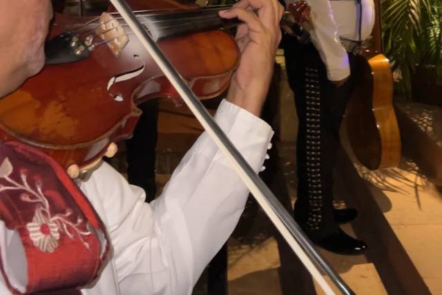 Mariachi en hotel