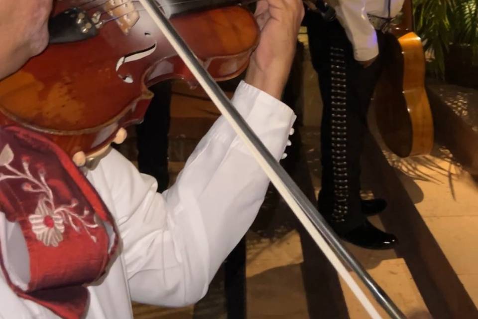Mariachi en hotel