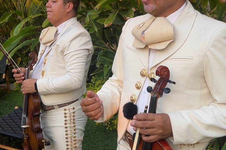 Mariachi en boda