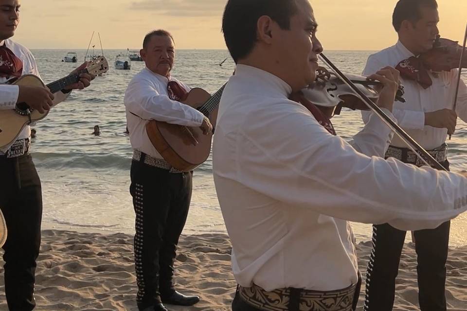 Serenata en la playa