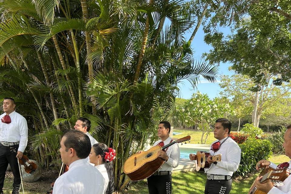 Limpios en cada presentación