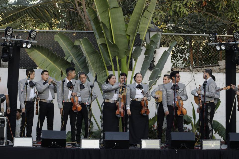 Mariachi en vivo