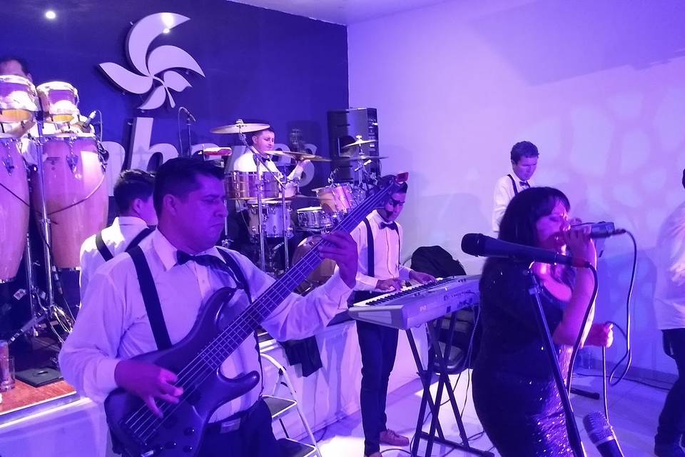 Versatil