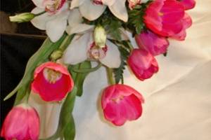 Tulipanes y Más - Consulta disponibilidad y precios