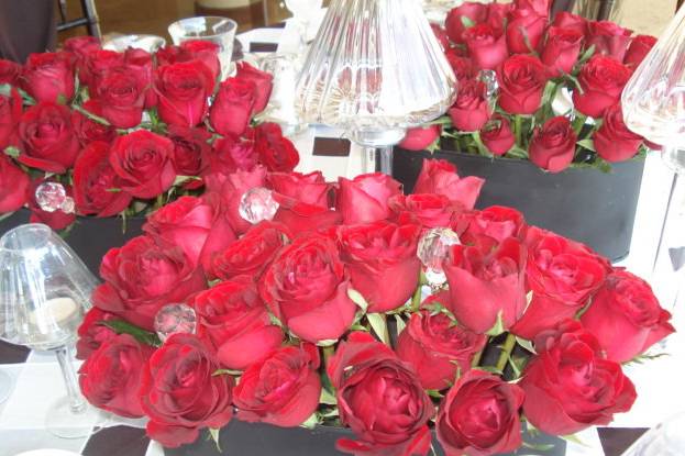 Hermosas rosas