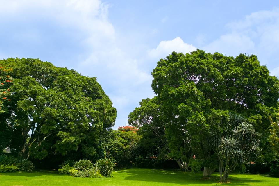 JARDÍN PRINCIPAL