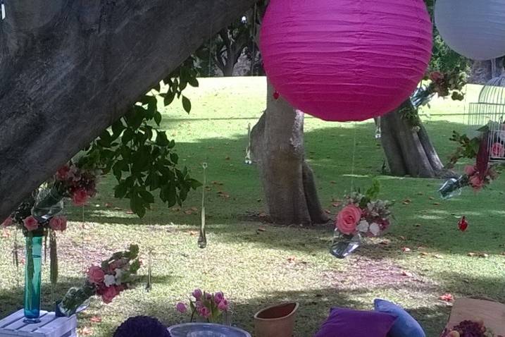 Picnic entrega de anillo