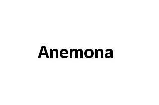 Anemona logo