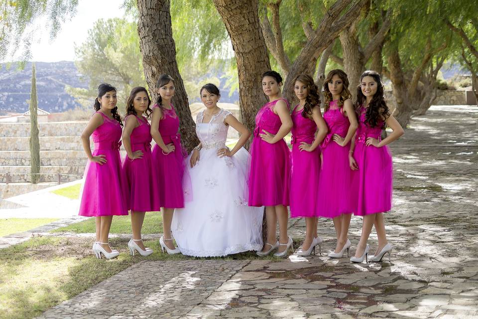 Damas en rosa