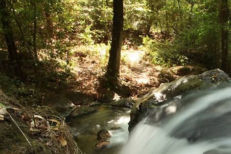 Cascadas de ensueño