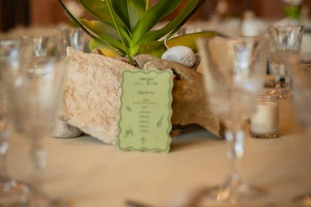 Montaje Paloma & Everth