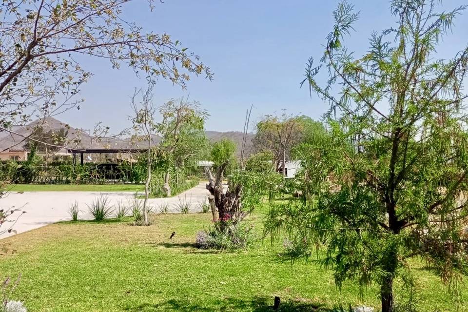 Jardín