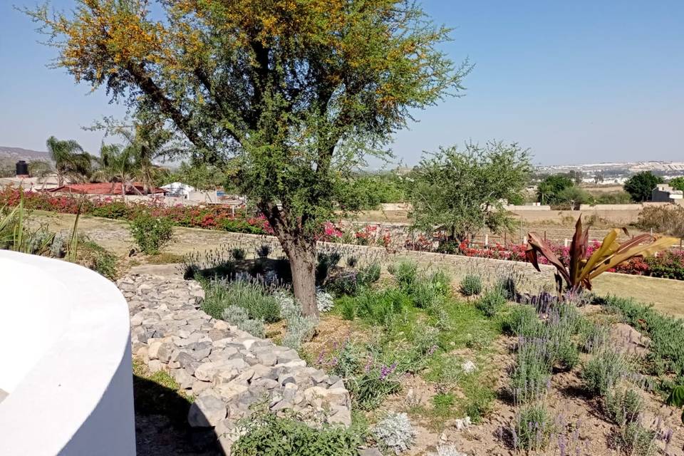 Jardín y Vista a la ciudad