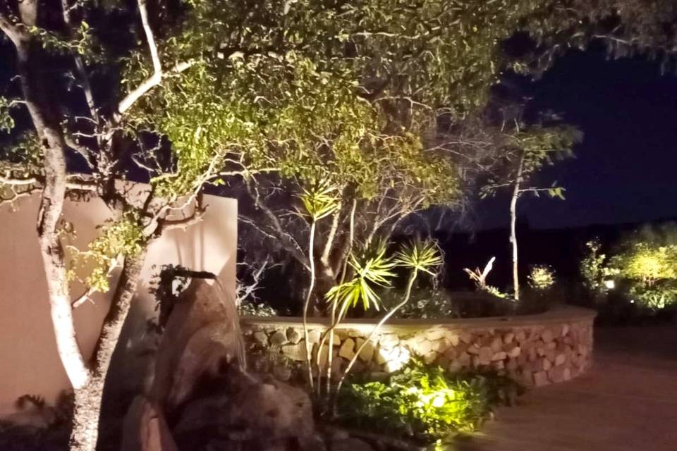 Jardín de noche