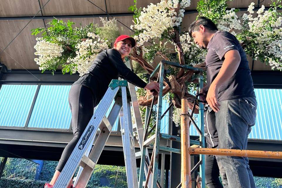 Montaje de árbol para evento