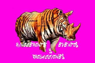 Rinoceronte eventos y producciones