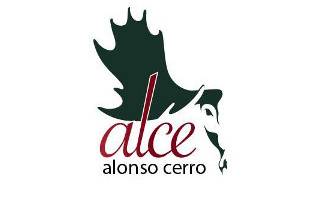 Alce Fotografía logo