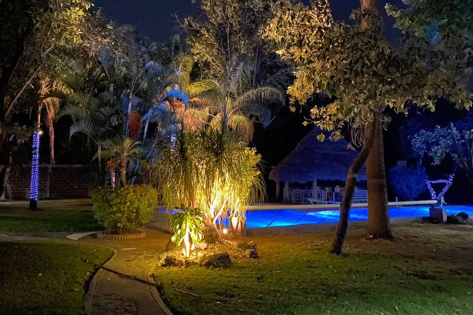 Vista de noche jardin