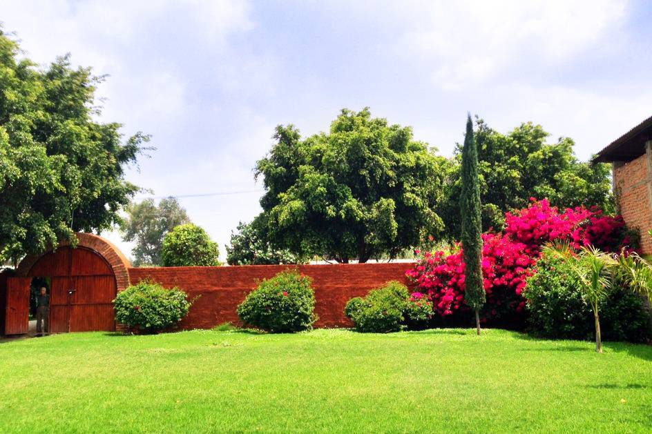 Hermoso jardín abierto