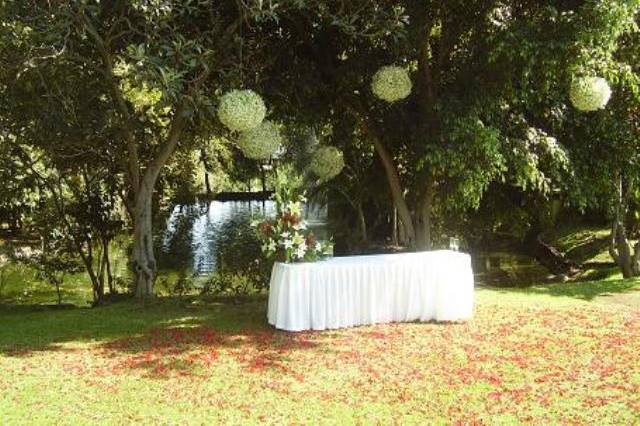 Eventos especiales