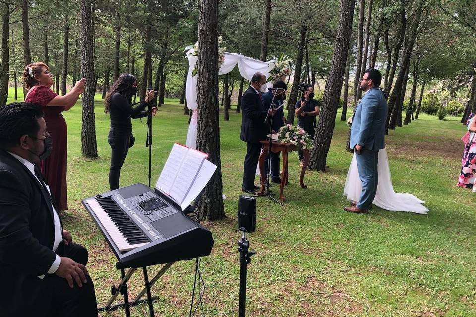 Pianista, boda civil