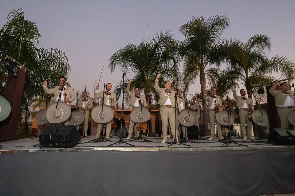 Mariachis tocando