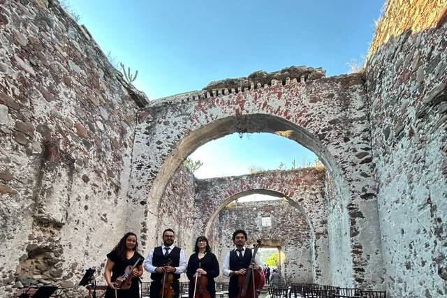Cuarteto de cuerdas