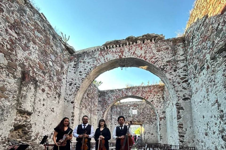 Cuarteto de cuerdas