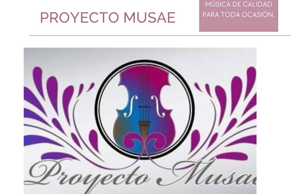 Violinista