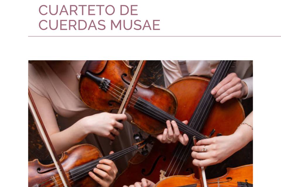 Cuarteto de Cuerdas