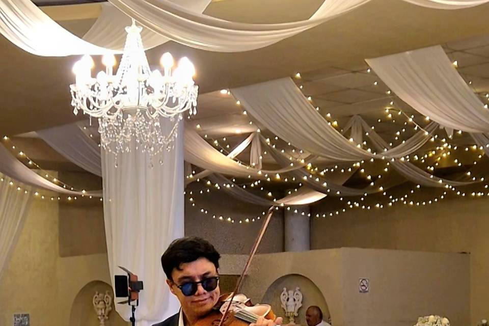 Violin solista