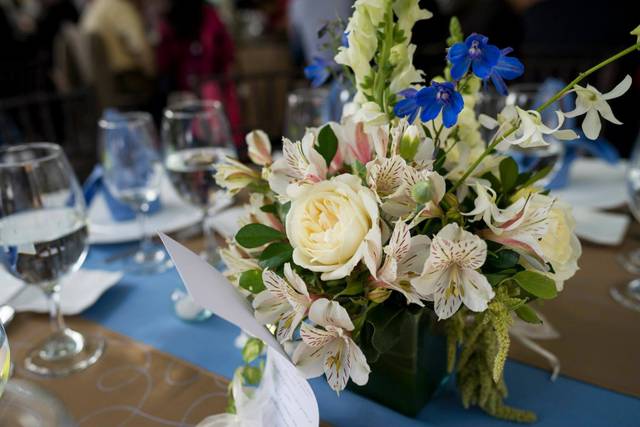 Flores