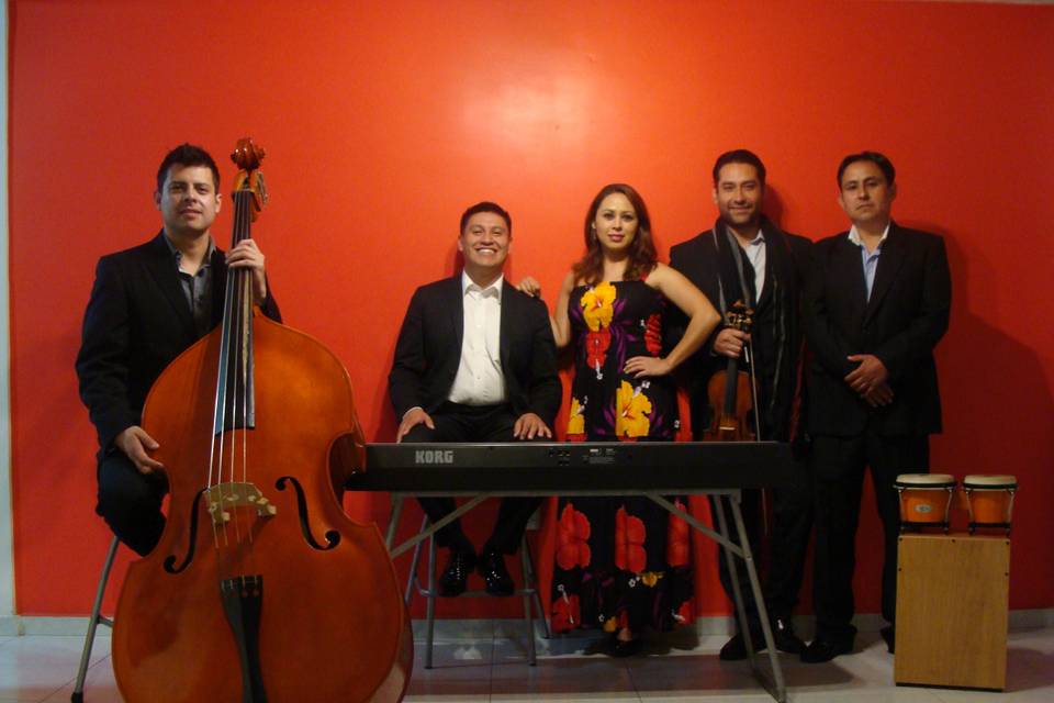 Meraki 5 Ensamble