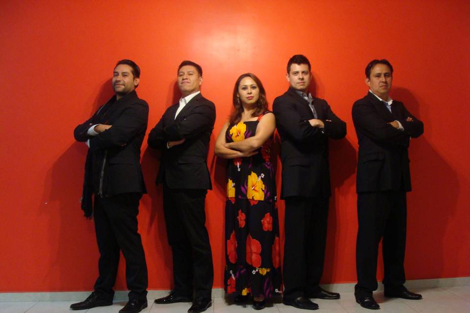 Meraki 5 Ensamble