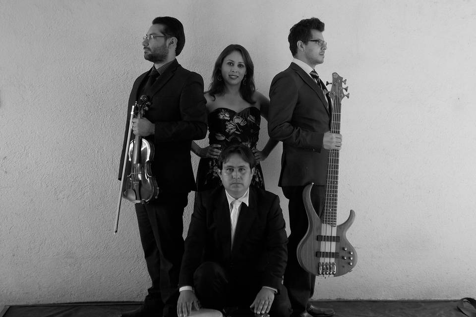 Meraki 5 Ensamble