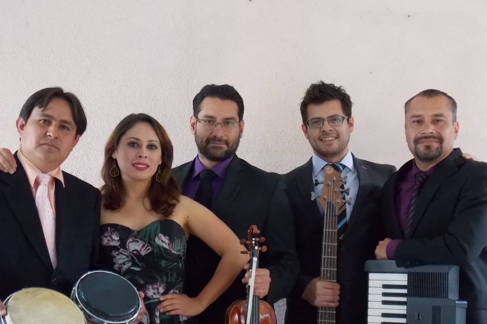 Meraki 5 Ensamble