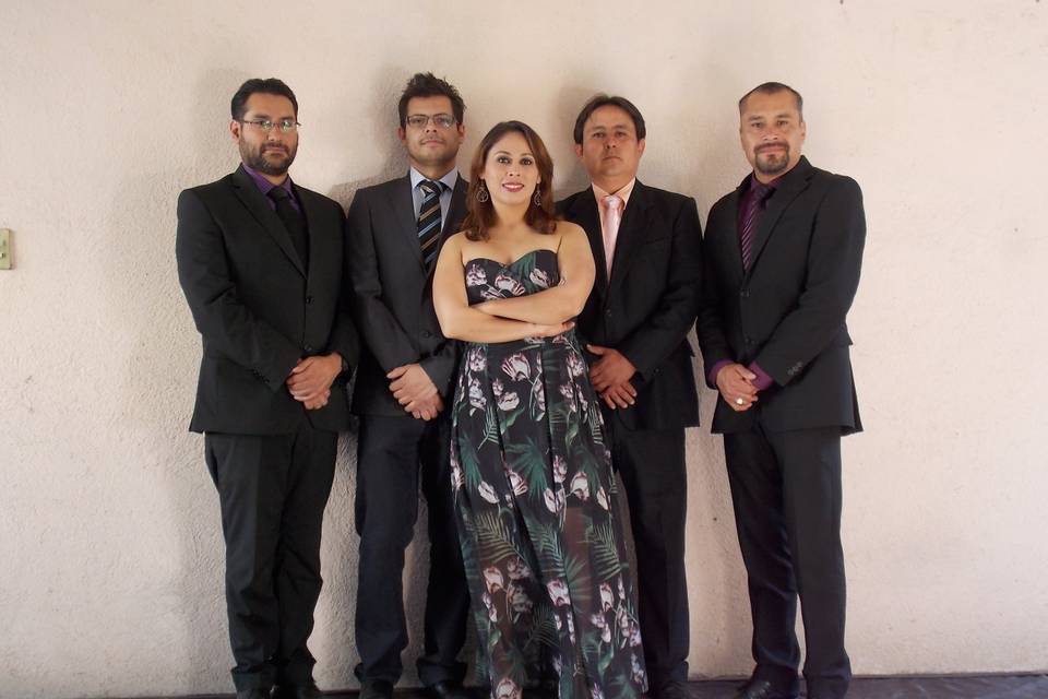 Meraki 5 Ensamble