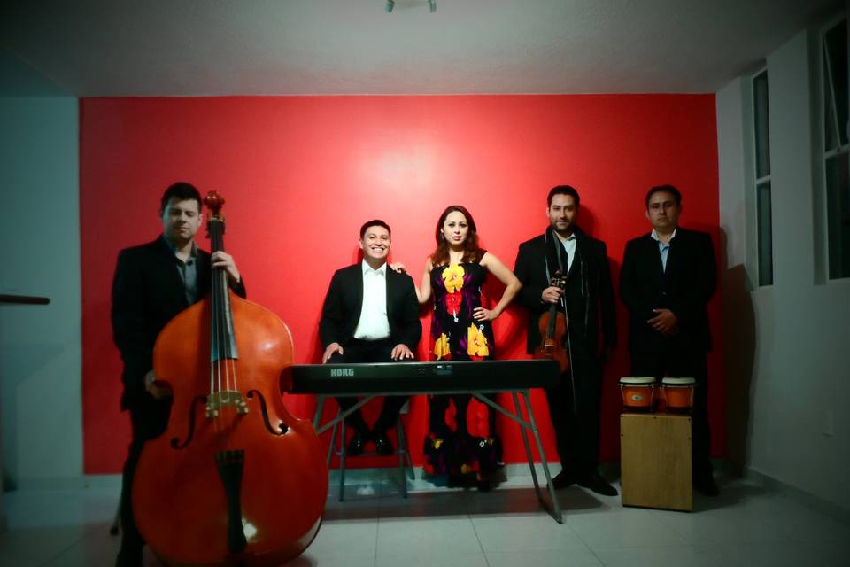 Meraki 5 Ensamble